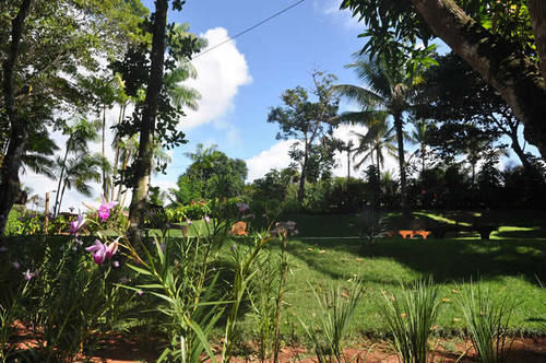 Pousada Da Paz Itacare Exterior photo